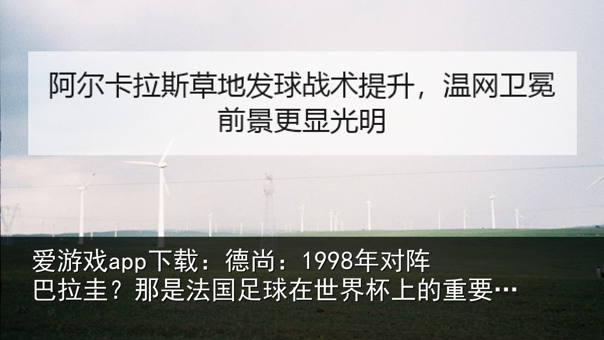 爱游戏app下载：德尚相关情况法国相关情况重要时刻