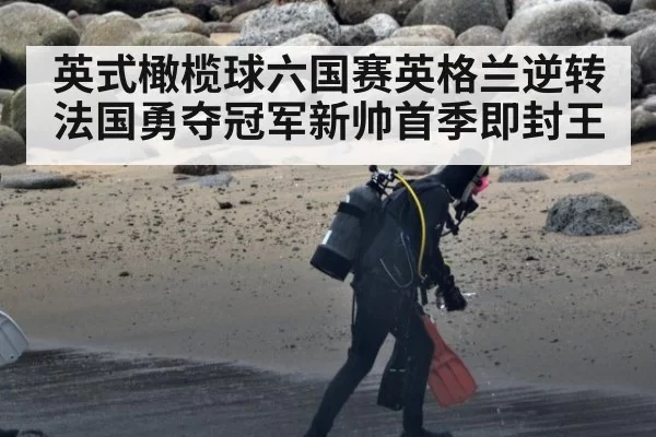 英式橄榄球六国赛英格兰逆转法国勇夺冠军新帅首季即封王
